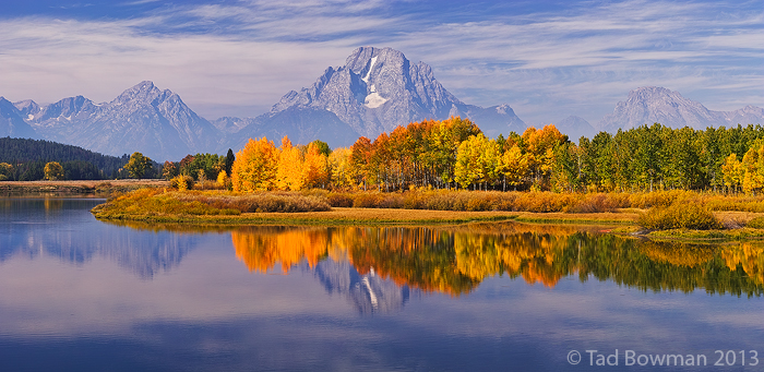 Oxbow Bend photo, mountain picture, Fall colors, grand teton picture, Autum picture, Gold Aspen tree photo