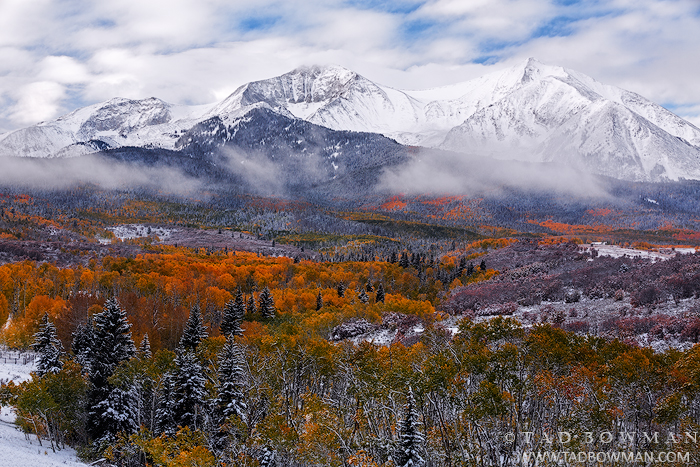 Colorado pictures,Mount Sopris photos,Fall,Autumn,Autumnal,fall foliage,colors,colorful,aspen tree,aspen trees,colorado mountain photos, Mount Sopris picture, Mount Sopris Images