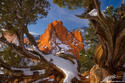 Framed Garden of the Gods print