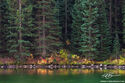 Lakeside Reflections print