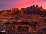 The Kingdom of Dust