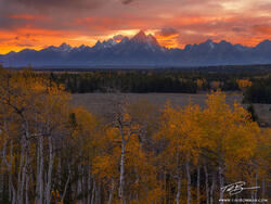 Teton Sunset