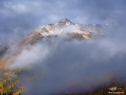 Autumn Beneath the Shroud