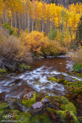 2011 Colorado Fall Photo Trip
