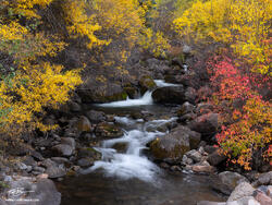 Autumn's Aperture