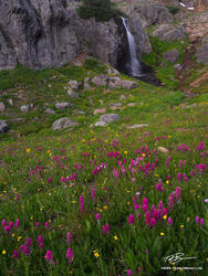 Brushstrokes Beneath the Falls