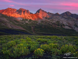Gladstone Sunrise