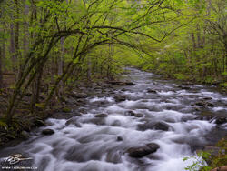 Smoky Mountain Passage