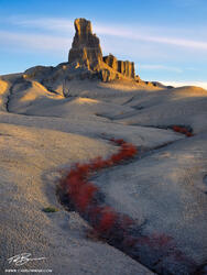 The Sand Castle