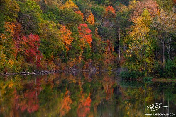 Color Reflections print