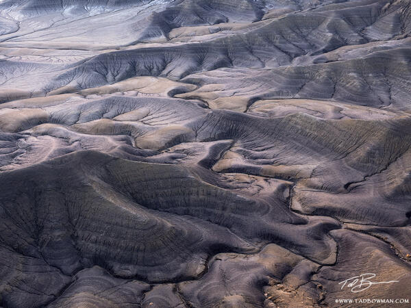 Desert Veins print
