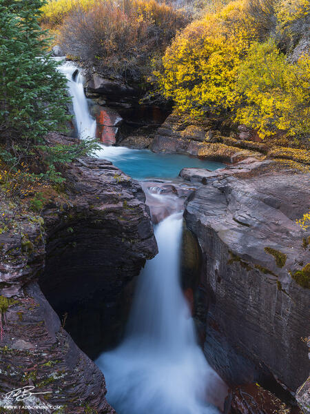 Fall Cascade print