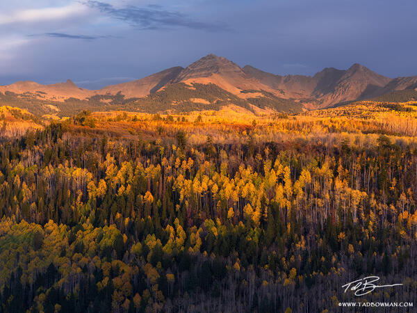 Fall Delight print
