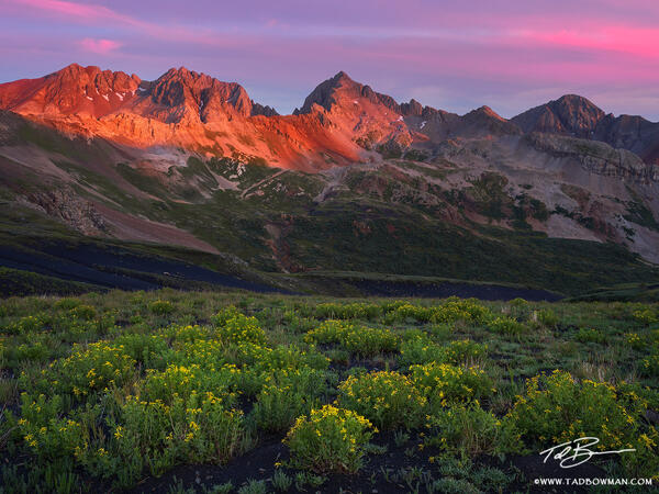 Gladstone Sunrise print