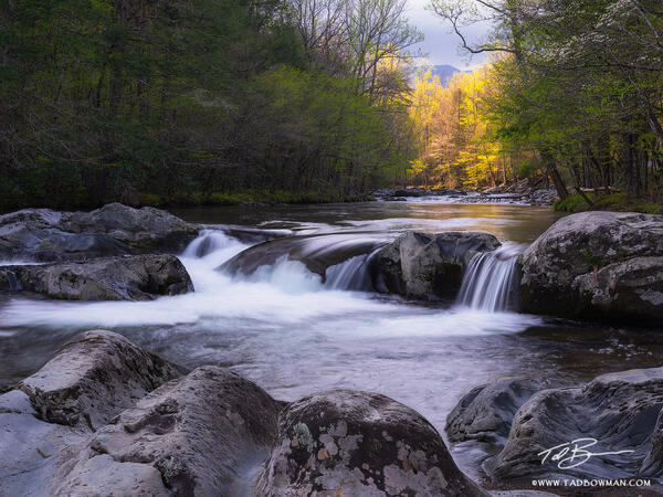 Golden Falls Awakening print
