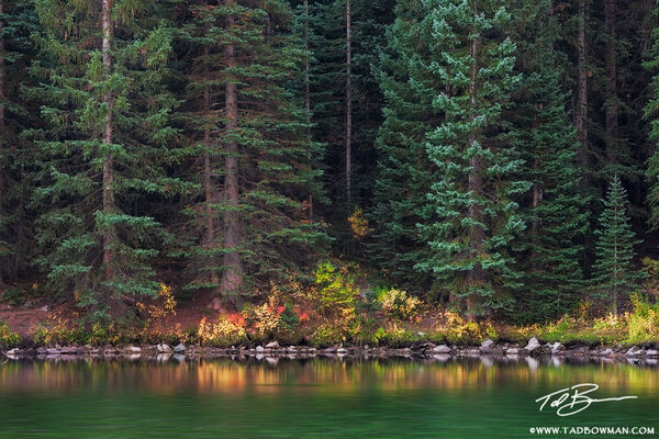 Lakeside Reflections print