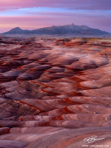 Martian Sunrise print