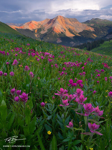 Red Mountain Sunset print