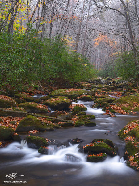Smoky Mountains Fog print