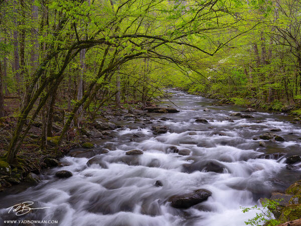 Smoky Mountain Passage print