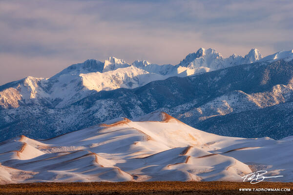 Snow Dunes print