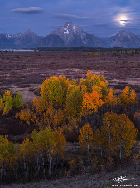 Teton Moonset print