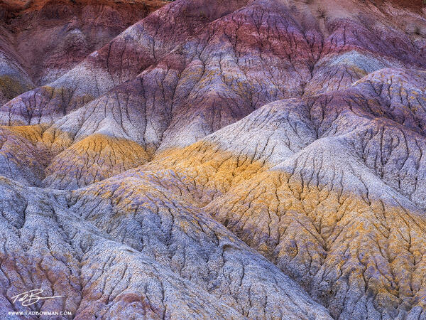 Veined print
