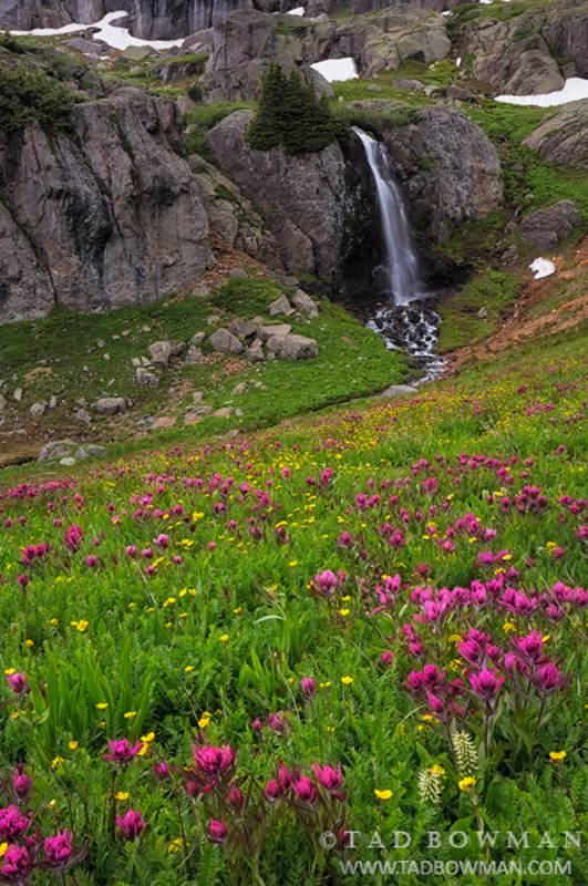 Waterfalls and Wildflowers print