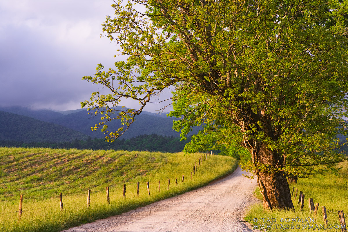 This Tennessee mountain picture depicts an inviting country road in Cades Cove located in the Smoky Mountains