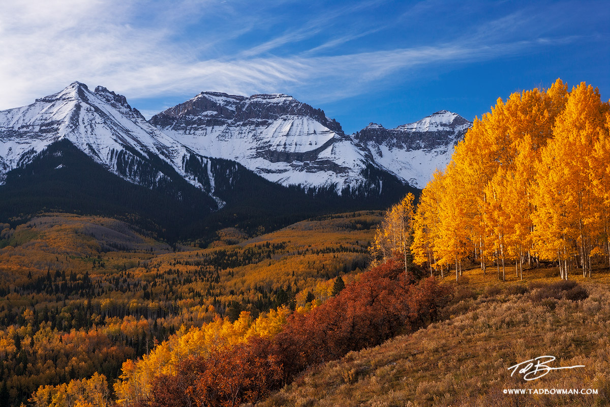 This Colorado fall mountain picture depicts sunrise on the Sneffels Mountain Range along with briliant gold aspen trees.