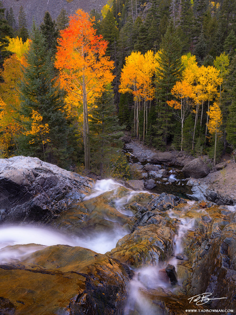 This Colorado fall photo depicts a waterfall flowing over a ledge with colorful aspen trees at the bottom.