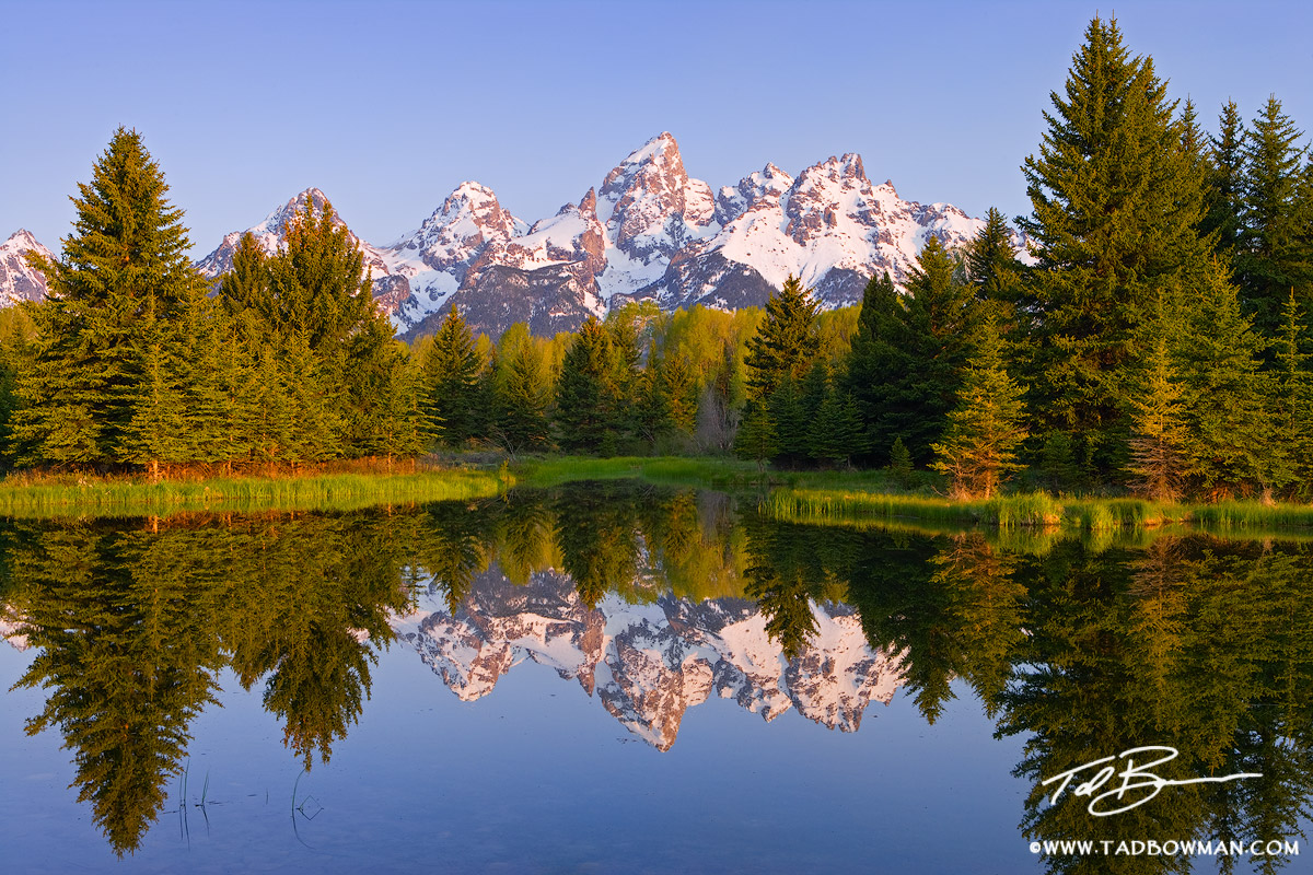 This Wyoming photograph depicts a spring morning reflection of the Grand Tetons near Schwabacher Landing.