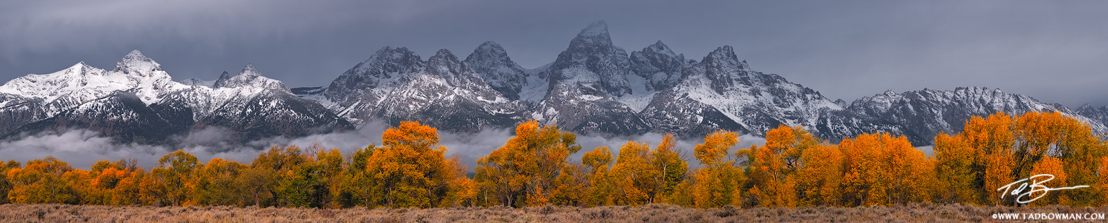 This photo depicts stormy conditions over the Grand Tetons with colorful fall foliage in the foreground