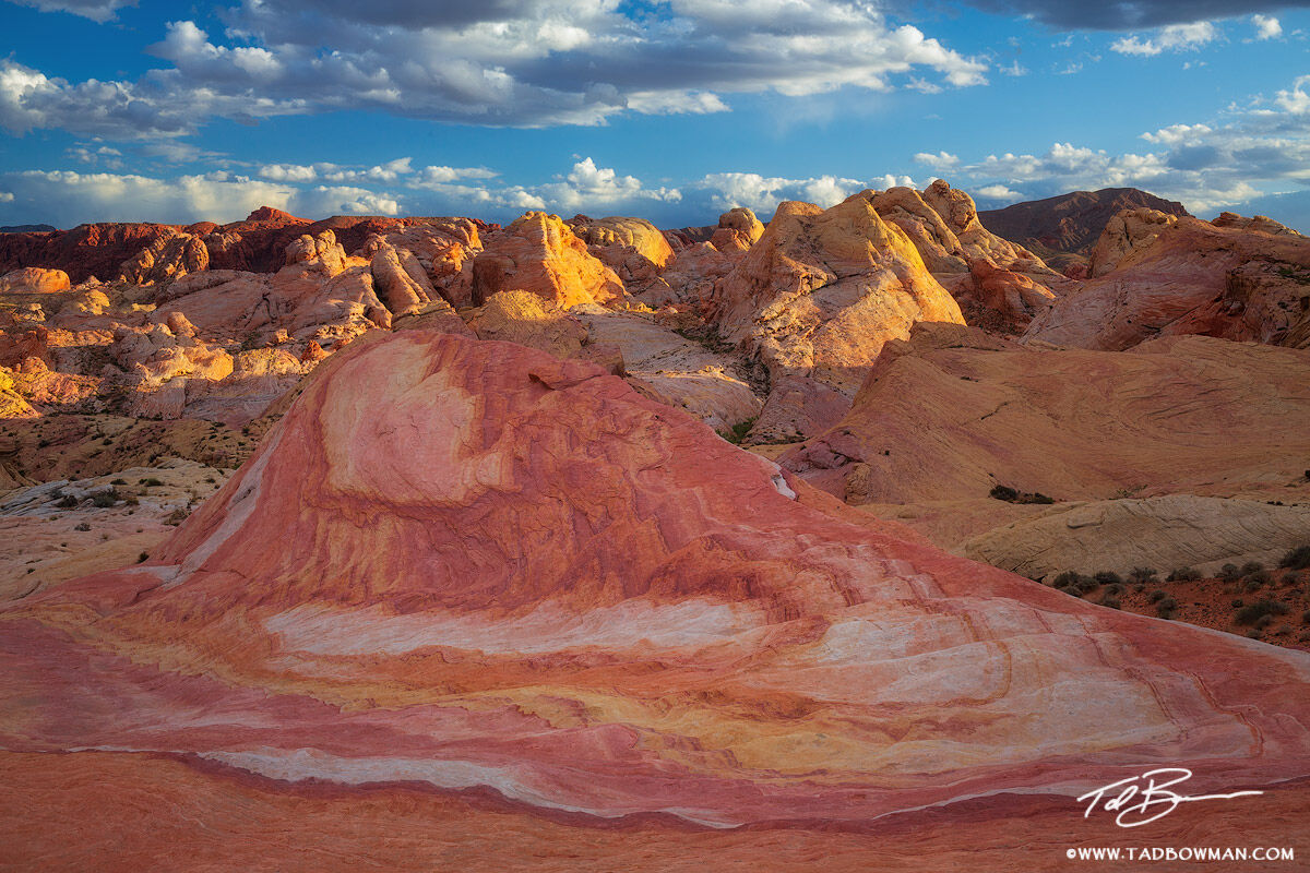 This desert photo depicts a colorful sandstone hill in the Valley of the Fire State Park, Nevada.