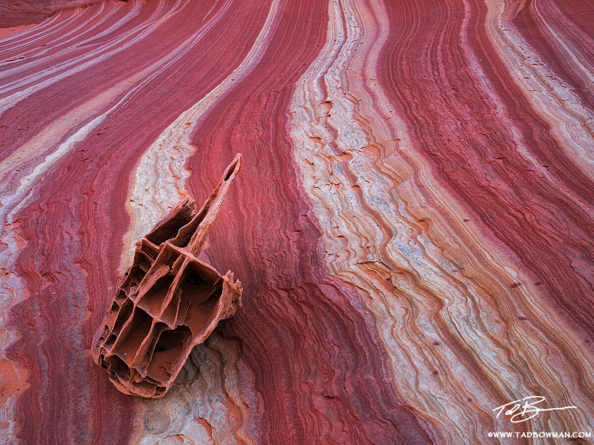 This desert photo depicts a lone sandstone rock situated on colorful sandstone rock formations in the Vermillion Cliffs area.