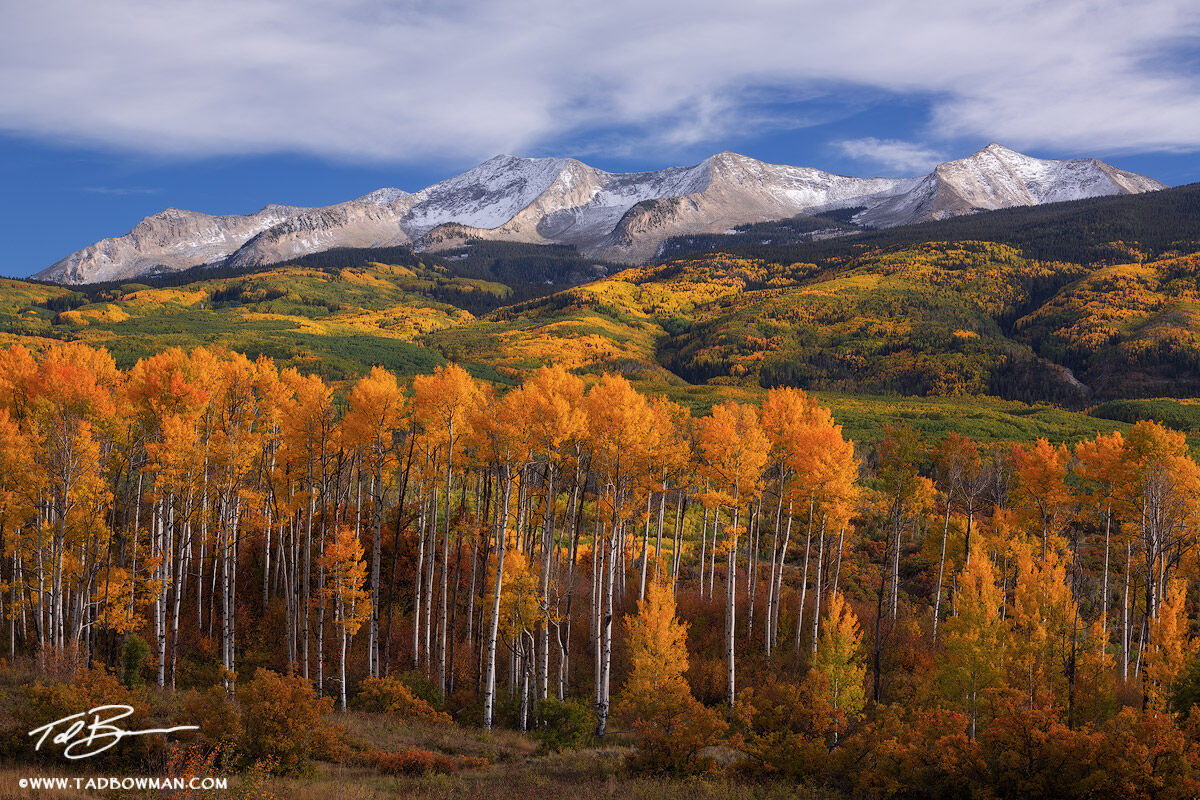 This Colorado fall photograph depicts late afternoon with a layer of snow on East Beckwith Mountain and gold aspen trees in the...