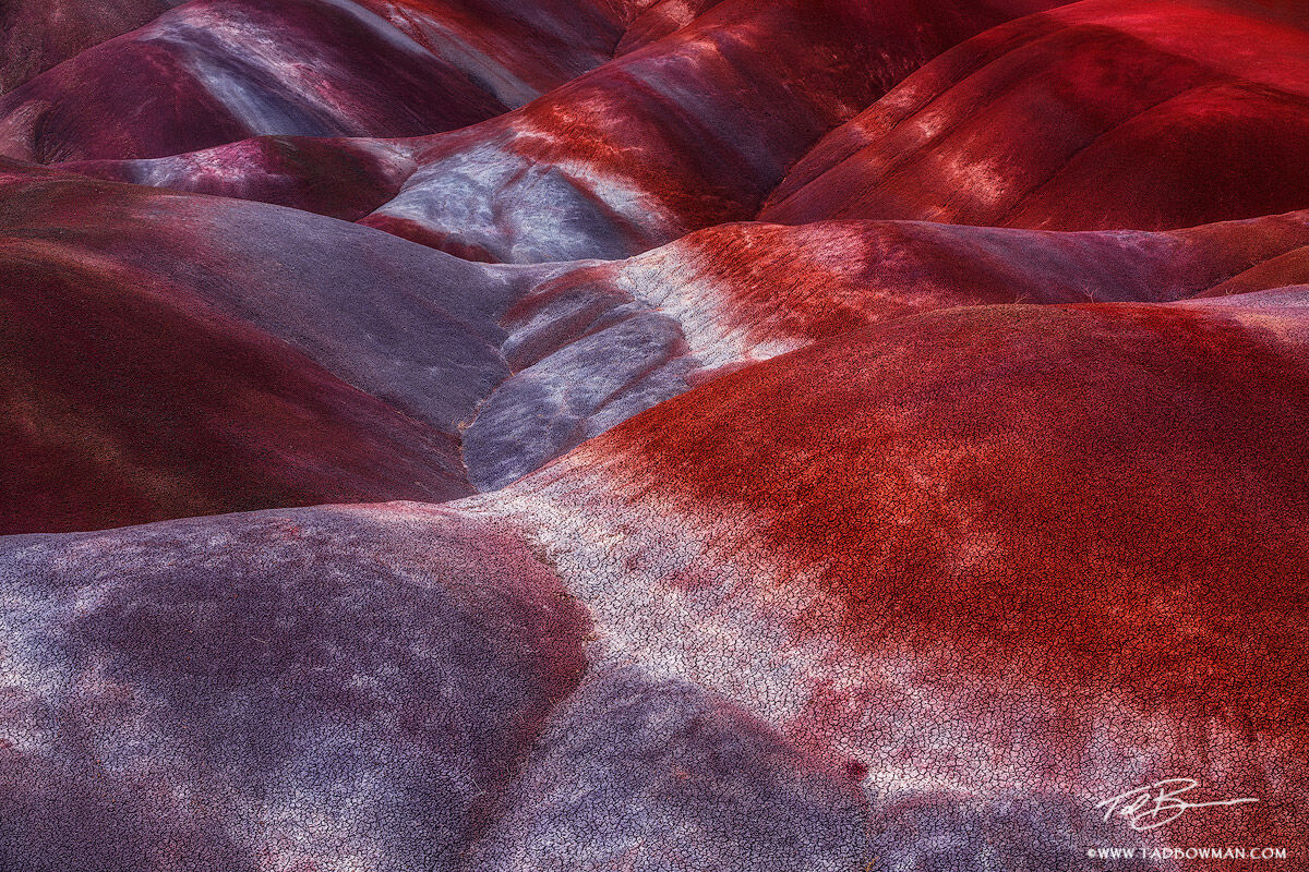 This Arizona desert photo depicts colorful purple and red patterns on bentonite clay hills