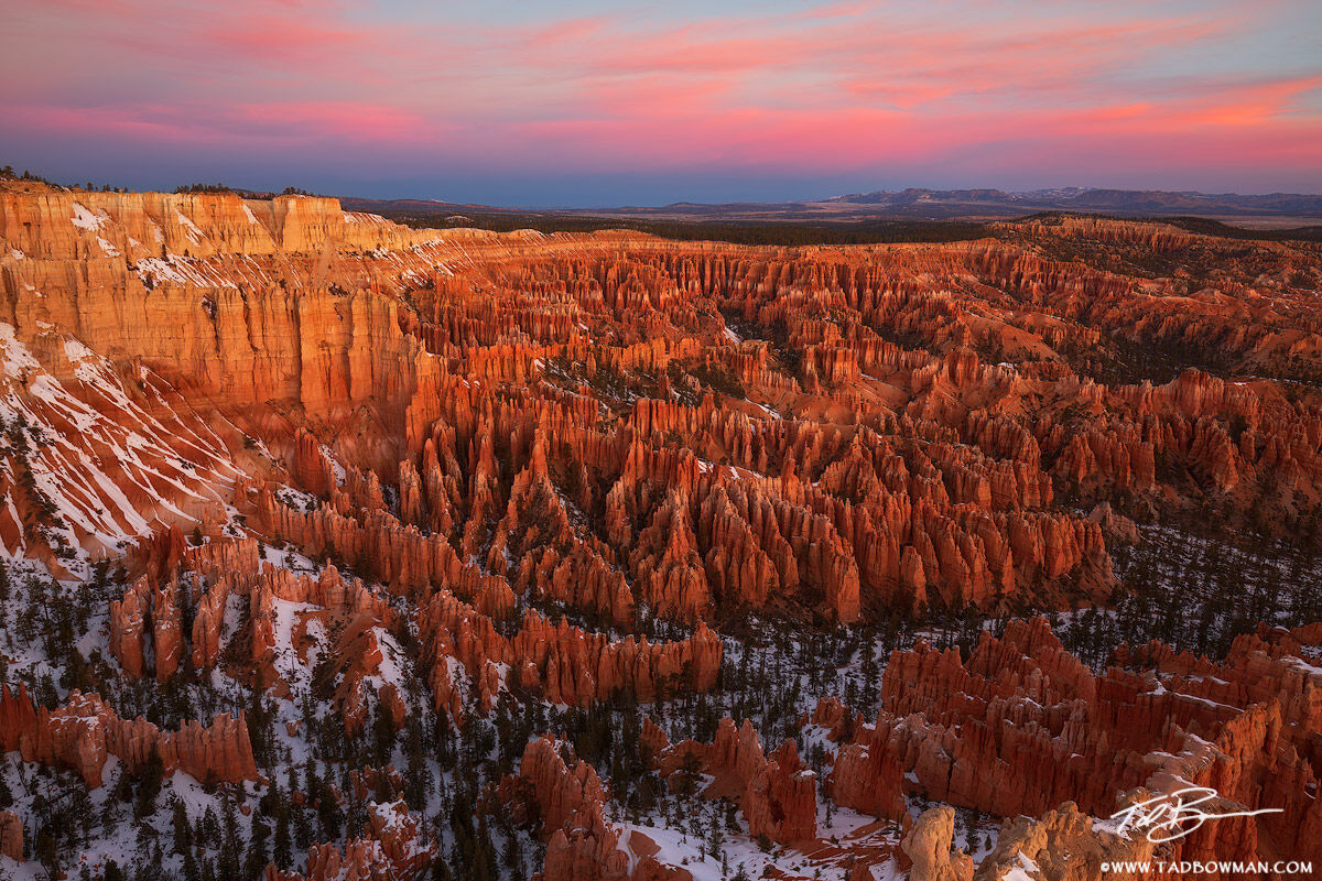 This Utah photo depicts sunrise in Bryce Canyon National Park with pink light and salmon colored hoodoos. 