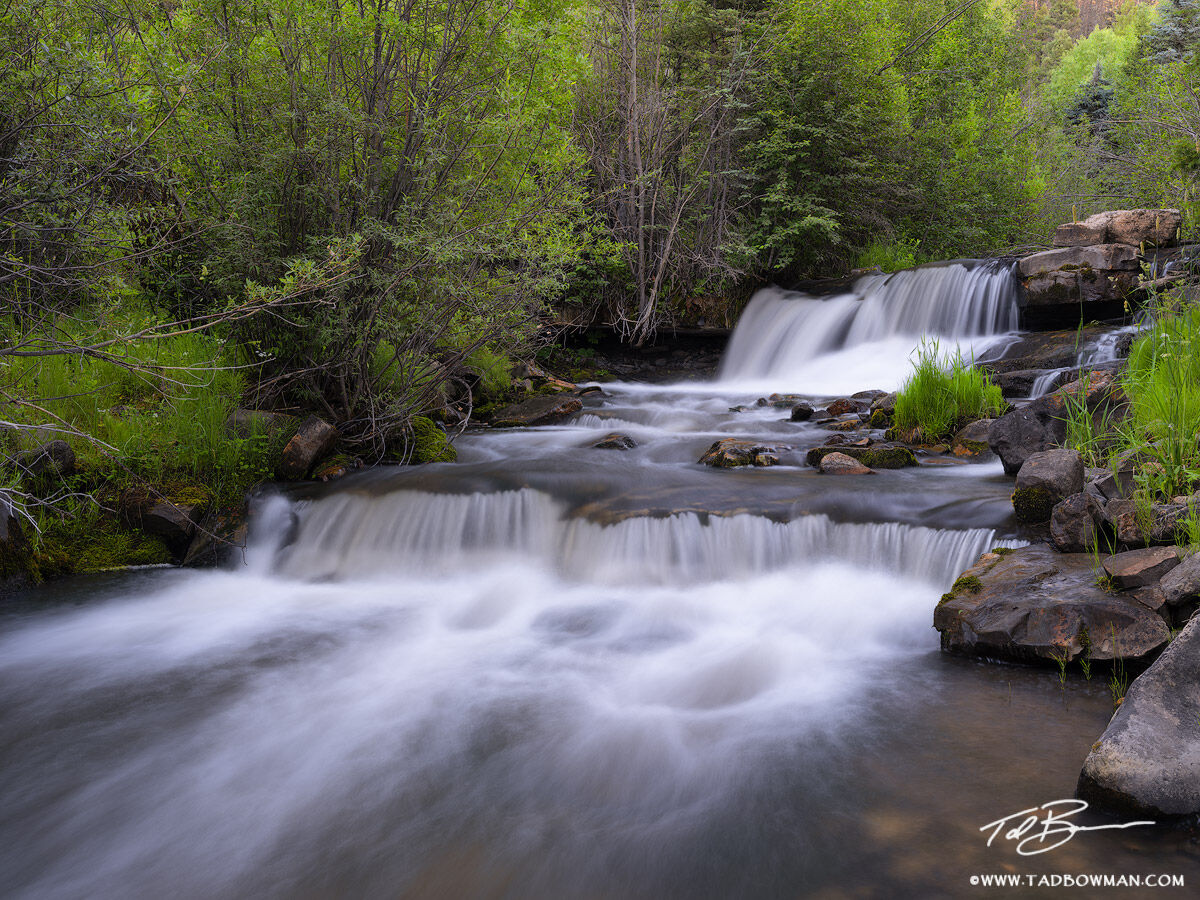 This Colorado photograph depicts a waterfall flowing among vibrant green foliage in the Uncompahgre National Forest