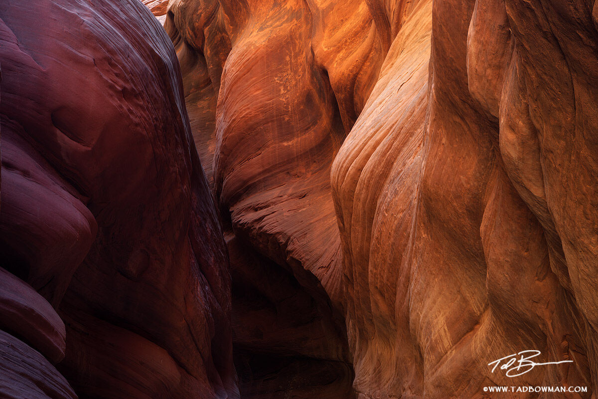 This Utah photograph depicts colorful sandstone folds located in Buckskin Gulch