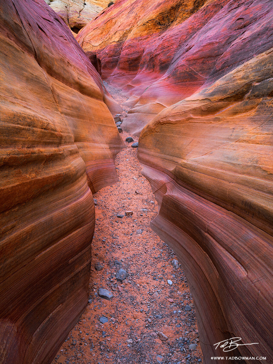 This desert photo depicts a colorful sandstone canyon situated in the Valley of Fire State Park, Nevada