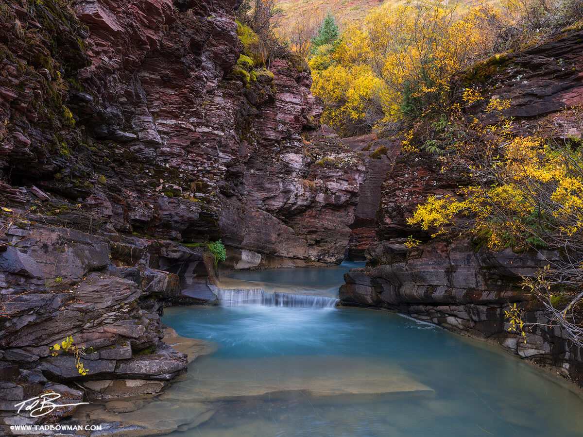 This Colorado photo depicts a turquoise stream flowing through a red canyon with gold fall foliage at the top.