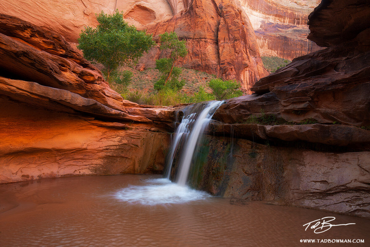 This southwest canyon picture depicts a waterfall flowing over red rocks in the Coyote Gulch of Escalante National Monument.
