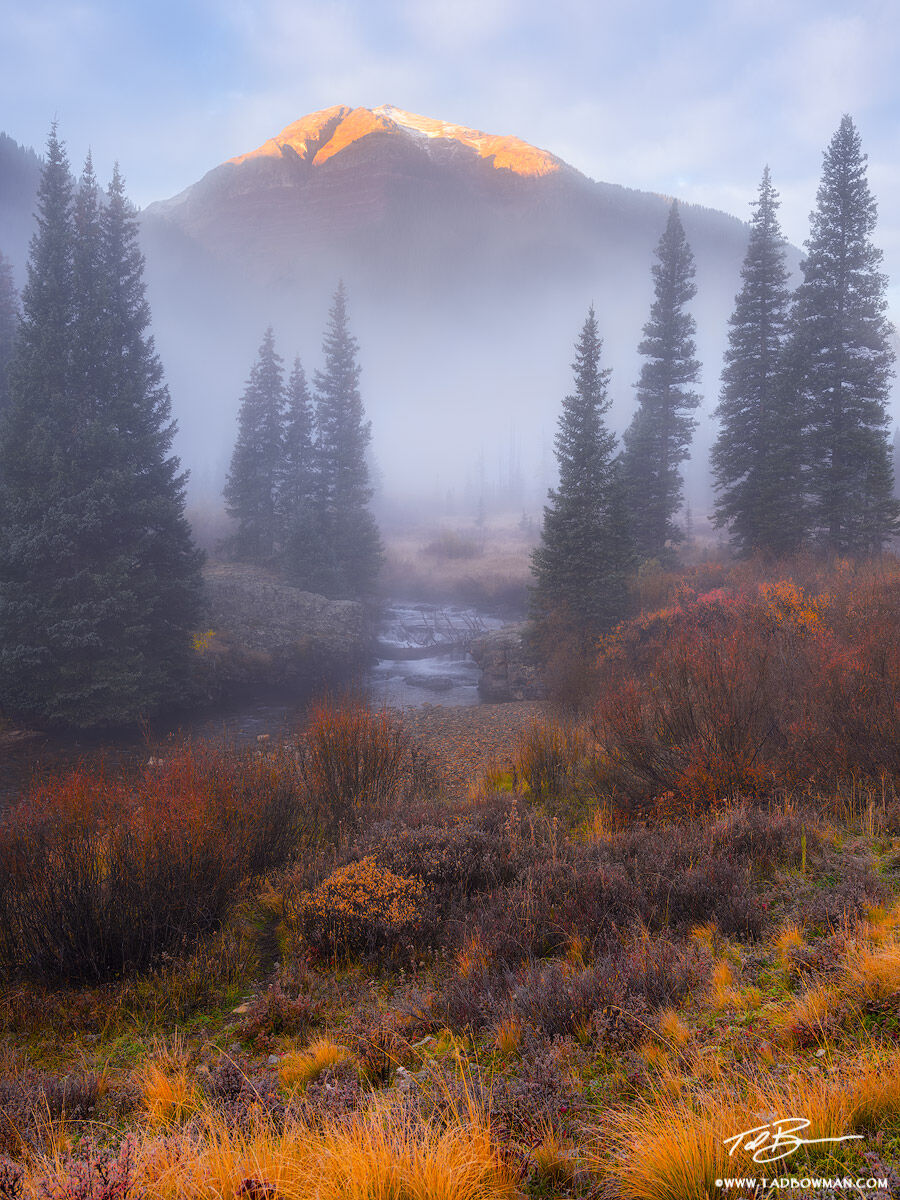 This Colorado mountain photo depicts sunrise on a mountain with fall foliage an foggy conditions.