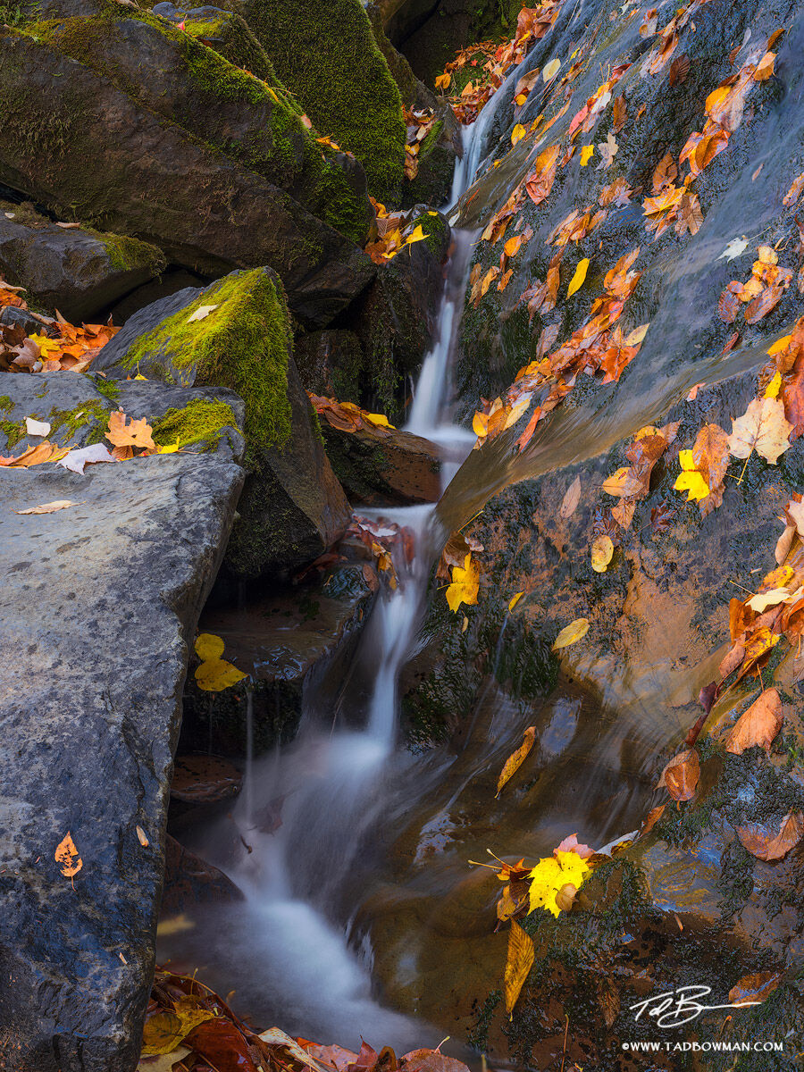 This Smoky Mountains photo depicts a small stream navigating through a rock crevice surrounded by colorful fall foliage.