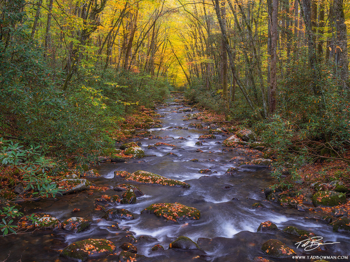 This Smoky Mountains photo depicts a river flowing downhill with colorful fall foliage in the background and on the rocks.