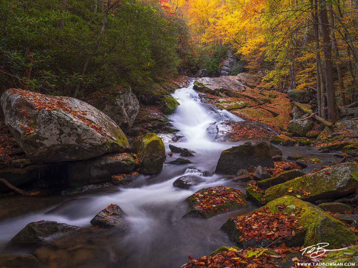 This Smoky Mountains photo depicts a waterfall cascading over rocks with vibrant fall foliage in the background