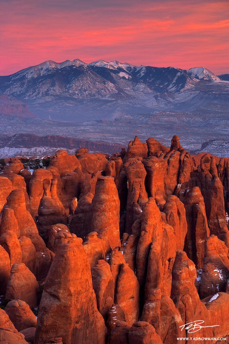 This Utah arches national park picture depicts rock fins referred to as the Fiery Furnace at sunset with the snowy La Sal Mountains...