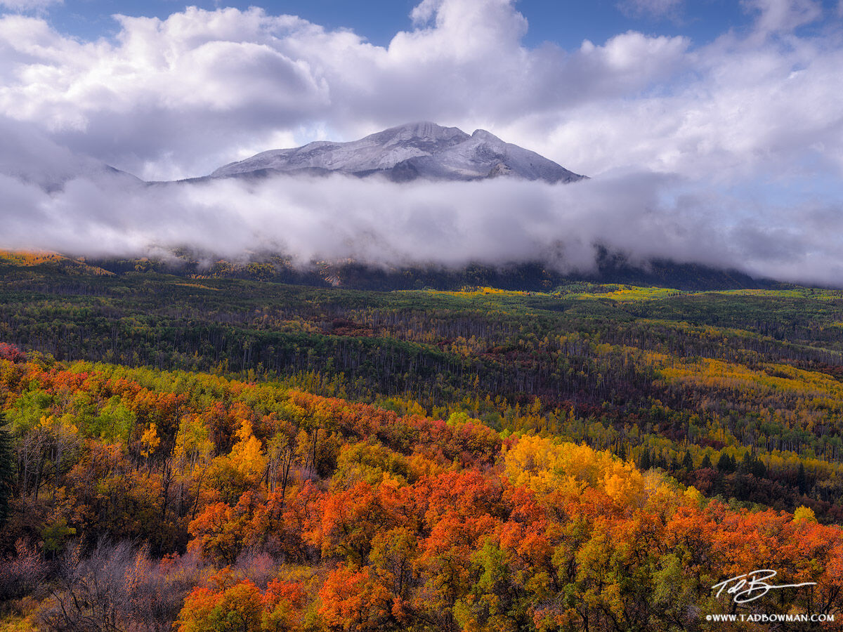 This Colorado mountain photo depicts foggy conditions over West Beckwith with fall foliage in the foreground