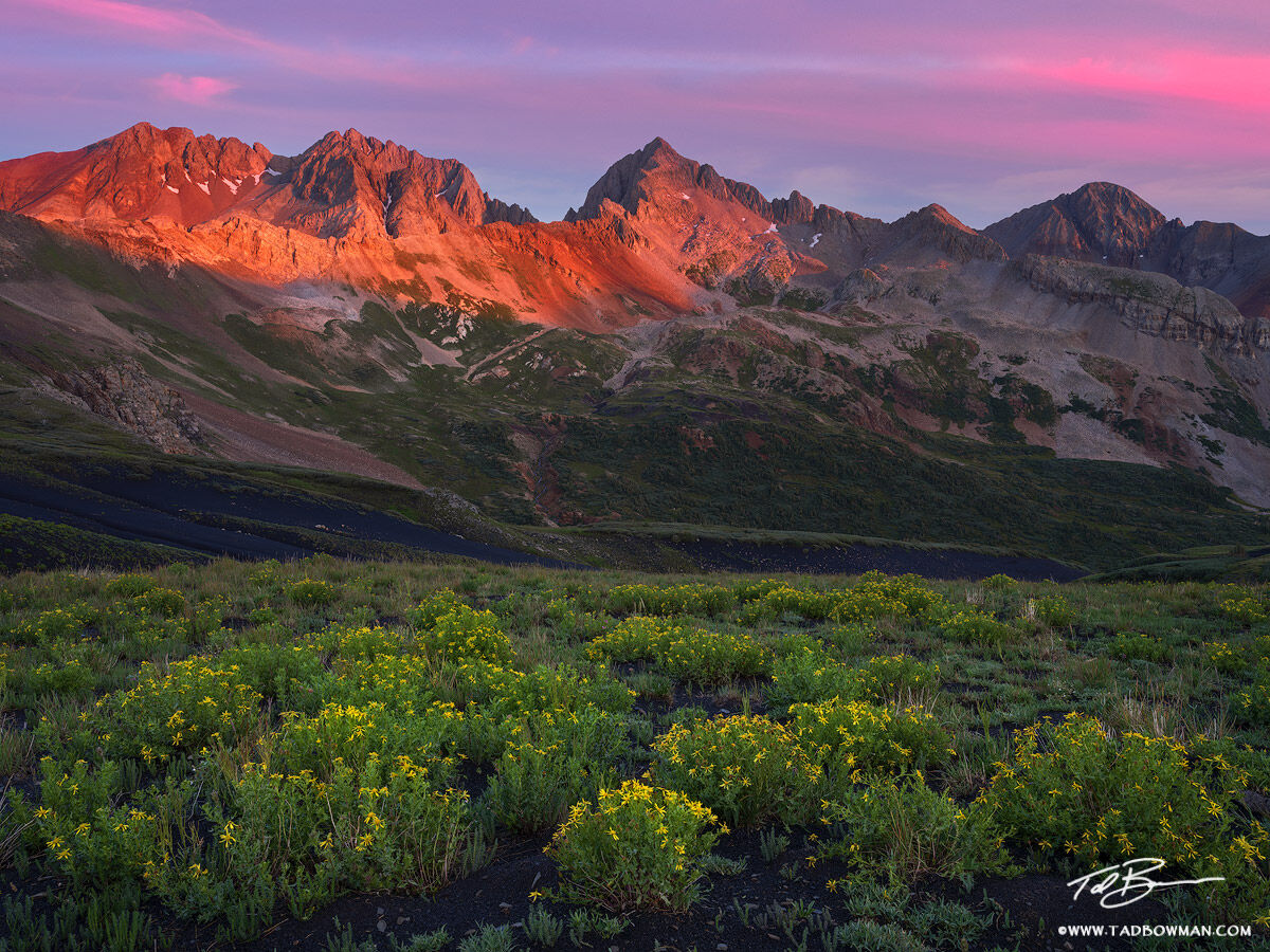 This Colorado Mountain photo depicts sunrise over Gladstone Peak, Wilson Peak, and Mount Wilson with colorful yellow wildflowers...